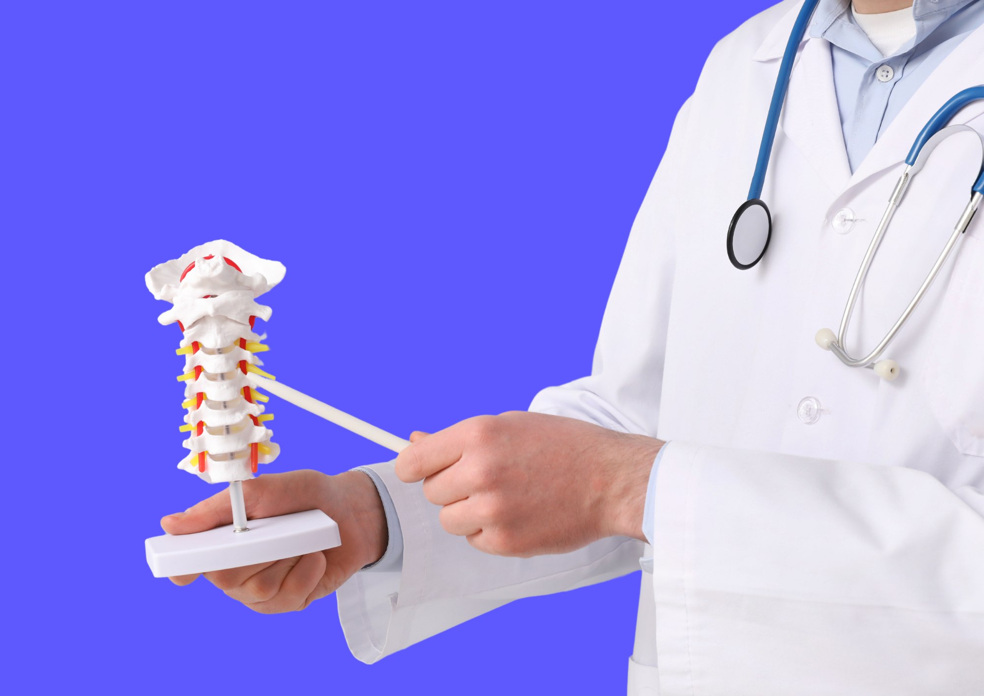 Doctor pointing on vertebral joints of the spine to show where spondylarthrosis occurs. 