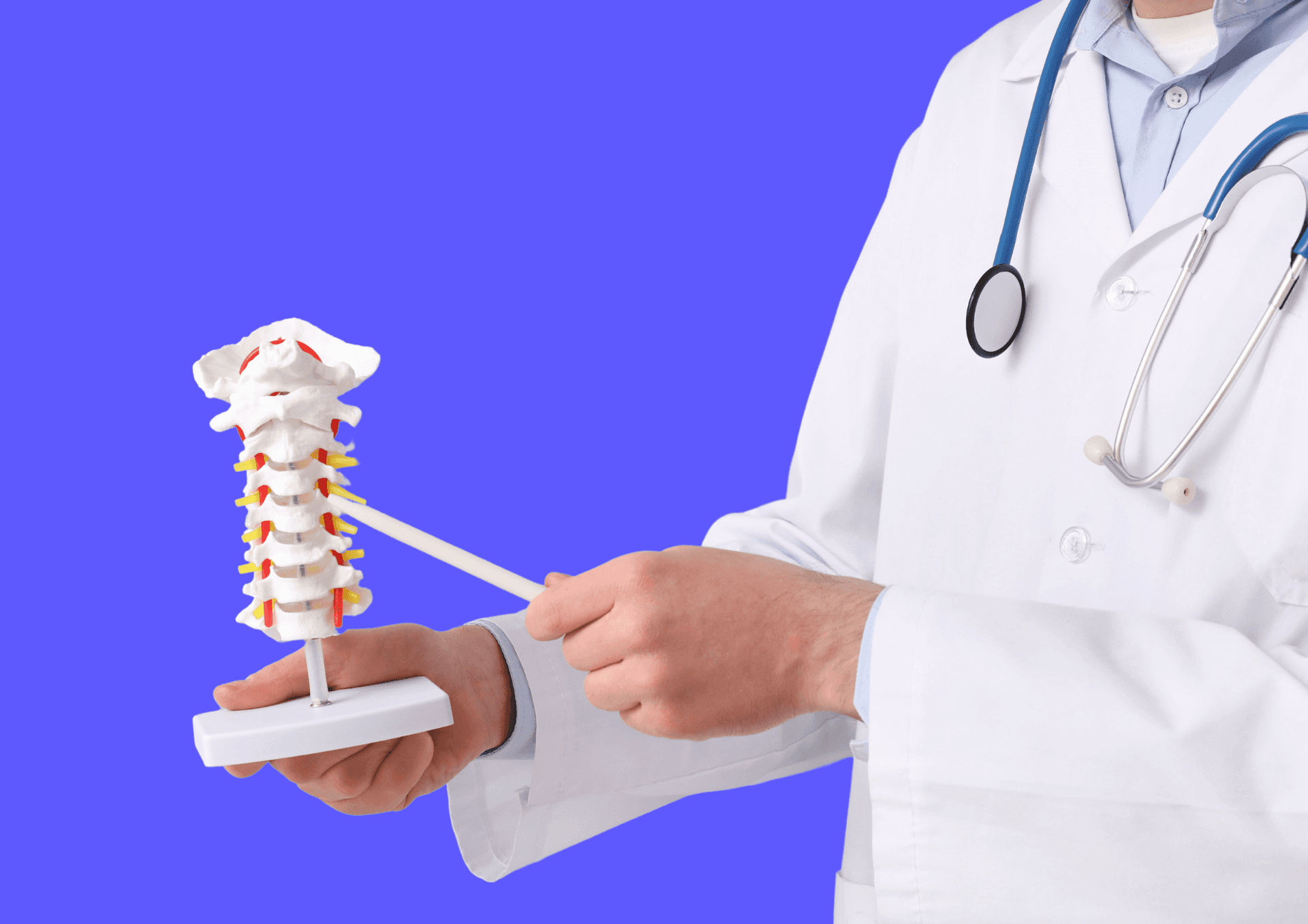 Doctor pointing on vertebral joints of the spine to show where spondylarthrosis occurs.